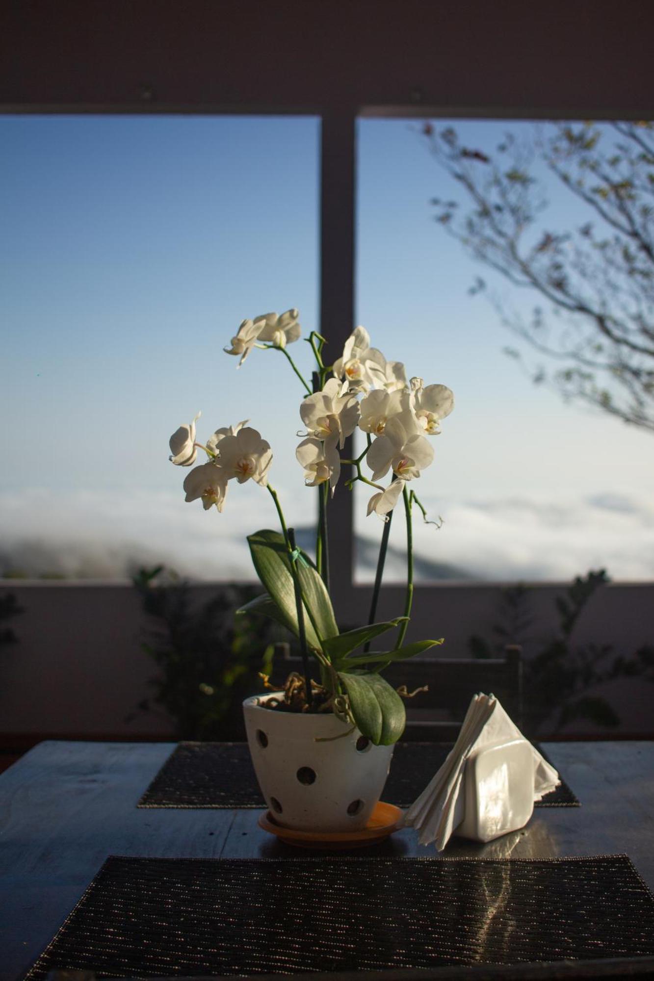 Nosara Hideaway 2 - Breakfast Included & Mountain View